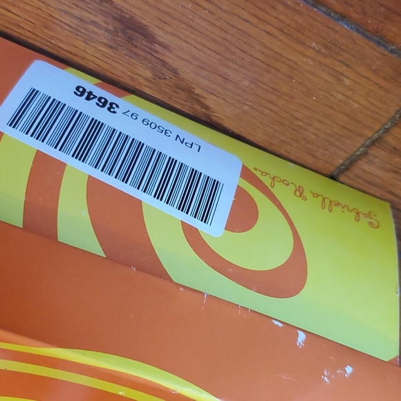 Gabriella Rocha - Picture 8 of 8